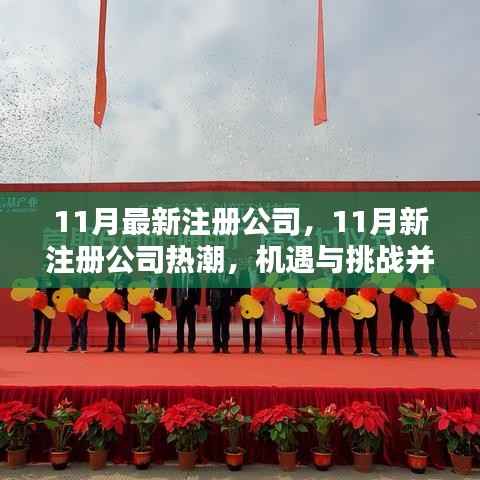 11月新注册公司热潮,机遇与挑战并存