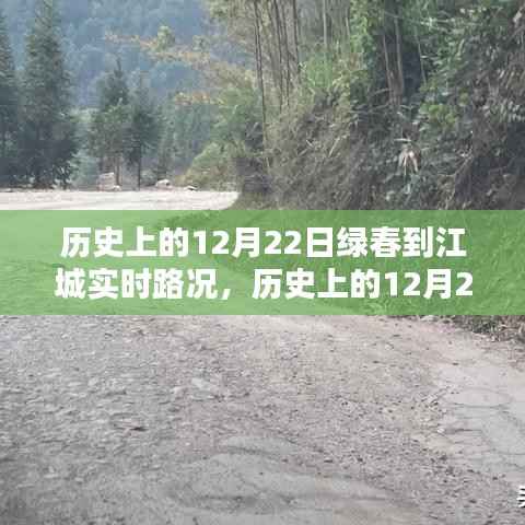 贵不期骄 第4页