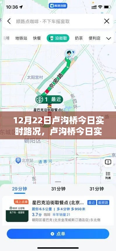 乌鸟之情 第3页