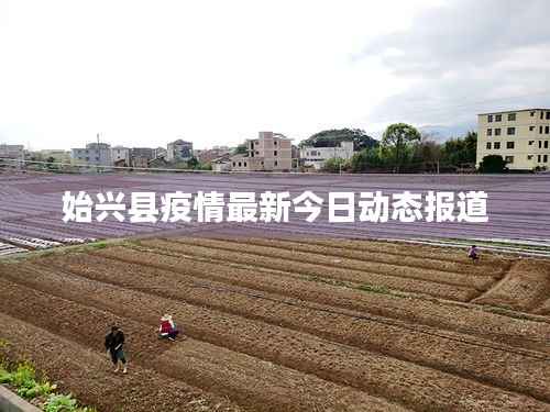 行业新闻 第127页