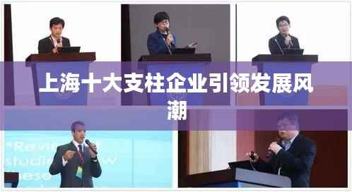 上海十大支柱企业引领发展风潮